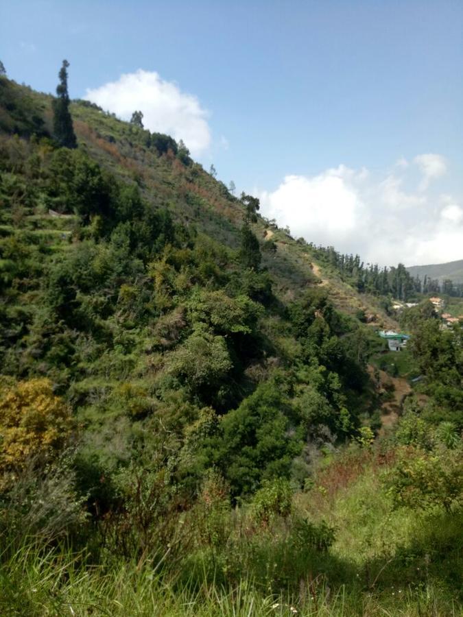 Holidays And Celebrations Kodaikanal Exterior photo
